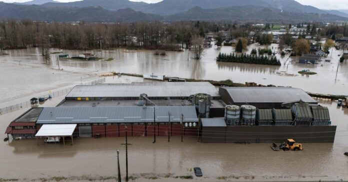Familiar fate for Abbotsford as floodwaters gush over U.S. border into B.C. again