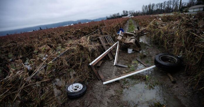 Many evacuation orders, alerts lifted as floodwaters recede in B.C.‘s Fraser Valley