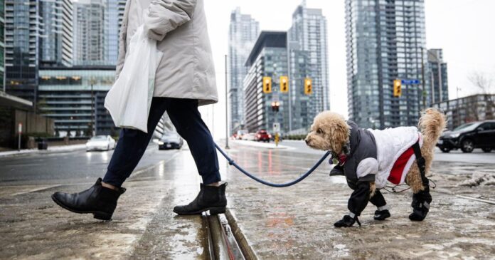 Toronto to get brief relief from frigid temperatures over next few days