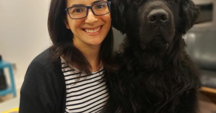 A Toronto company is reinventing how we feed our furry friends