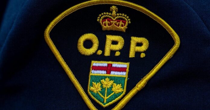 Ontario woman fined for driving in HOV lane with her cat as the ‘second person’ in car: OPP