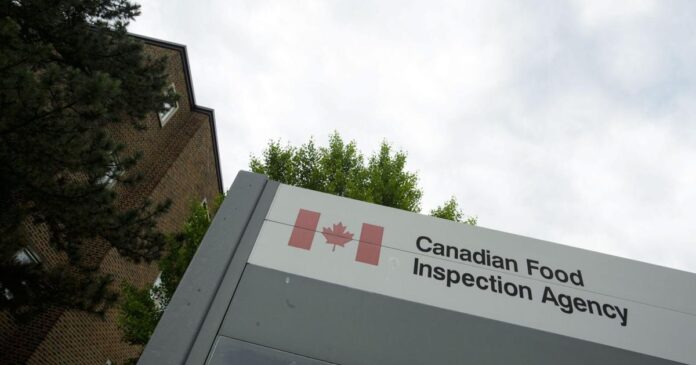 Anoun brand tahineh sold in Ontario recalled over salmonella concerns