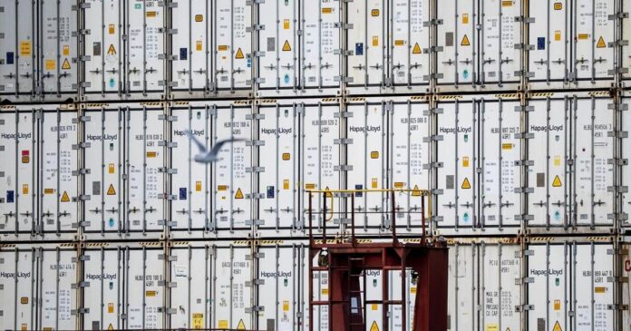 Customs portal causing headaches more than a year into its rollout