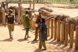 Wildlife conservation