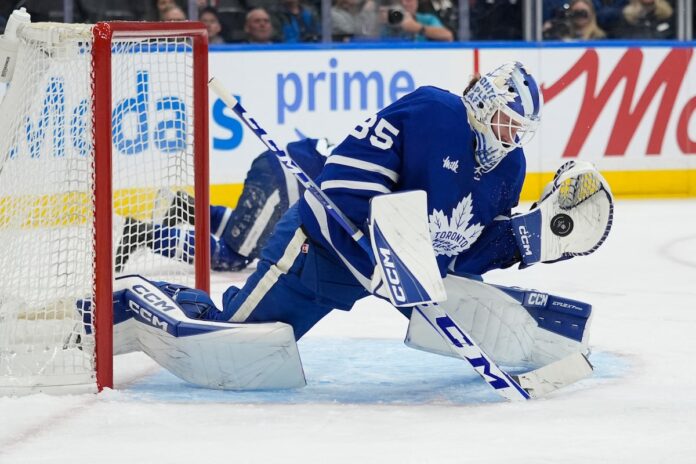 Hildeby records first shutout as Maple Leafs defeat Lightning 2-0