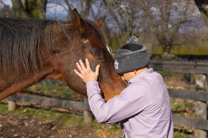 Horses helped heal champion jockey Eurico Rosa da Silva; now he shares that healing with others