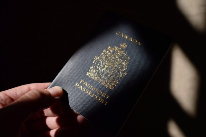 Hospital birth data suggests increase in birth tourism, says immigration expert