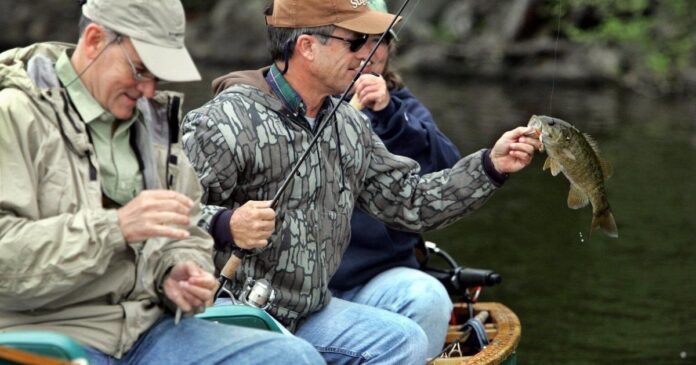 Investigation into illegal releases of invasive sport fish in Cultus Lake, B.C.