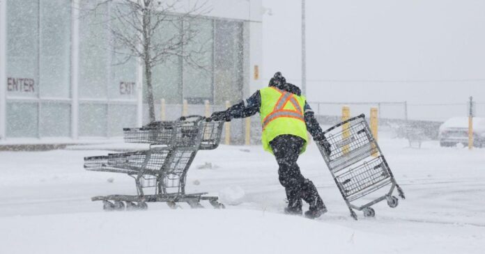 Much of N.L. under winter storm warnings as heavy snow and winds hit the coast