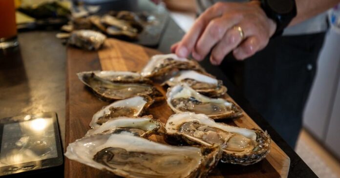 P.E.I. offers millions of dollars in funding to oyster farmers hard-hit by disease