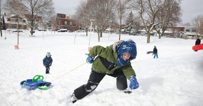 Toronto snow day: We want to see your photos of the winter wonderland today