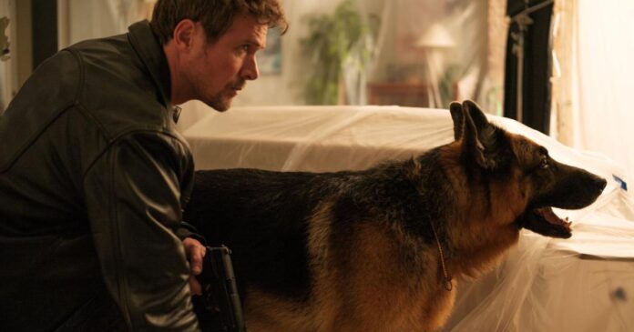 ‘Hudson & Rex’ dogs suspected of being poisoned. Why the show kept the disturbing allegations quiet for years