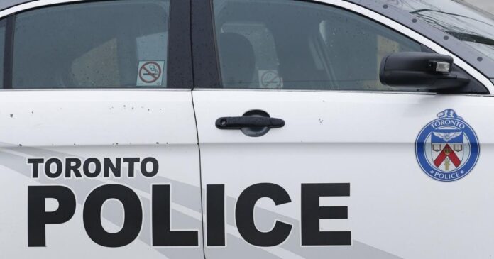 Dog dead, pedestrian seriously injured after being struck by driver near Exhibition Place