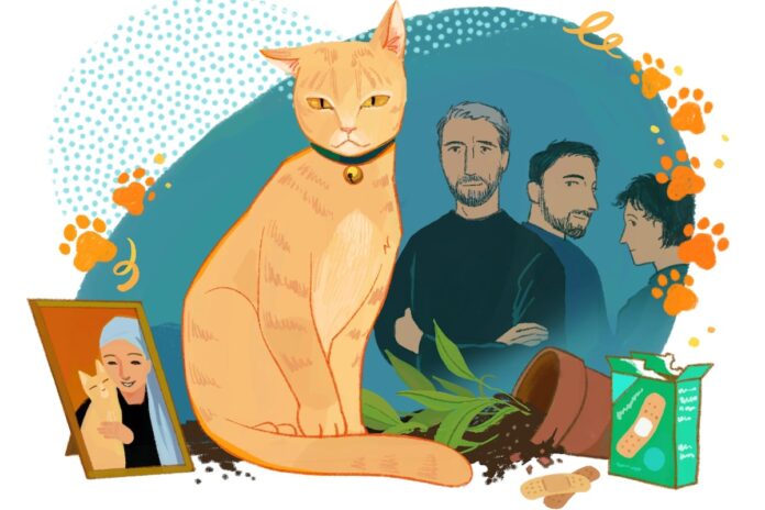 How a stray cat with a big heart and even bigger claws climbed his way into our lives