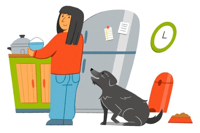 I told my senior dog it’s okay to go chase squirrels in the sky, but she had other plans