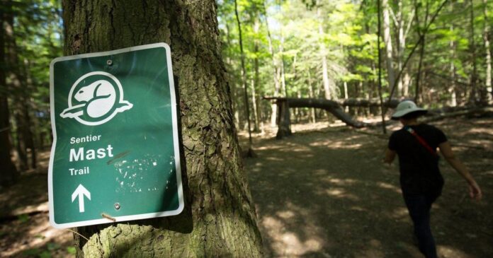 Ottawa pledges improvements for Rouge National Urban Park and beach in Toronto area